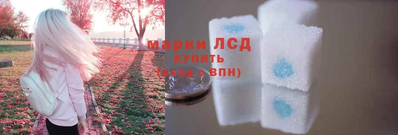 что такое   Малая Вишера  LSD-25 экстази кислота 